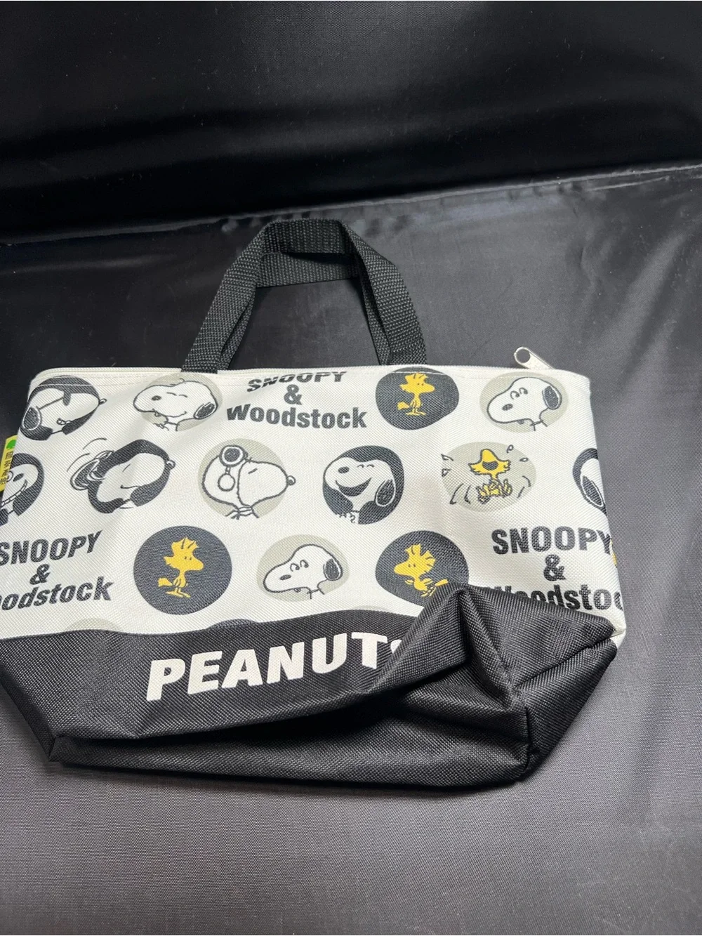 Peanuts Snoopy & Woodstock Mini Tote Bag 8x10 Canvas Tote Cute Character Bag - Picture 2 of 3